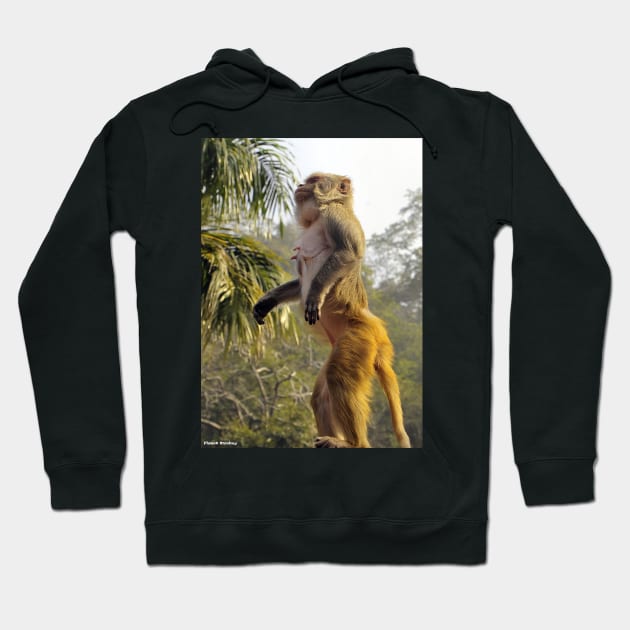 Amazing Monkey Stand Up for your rights Hoodie by PlanetMonkey